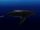 Giant horned whale