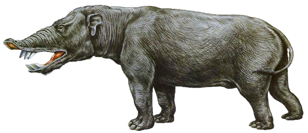 https://static.wikia.nocookie.net/spec-evo/images/8/86/Short-faced_elephant_%28Liera%29.png/revision/latest/scale-to-width-down/1078?cb=20230325154109