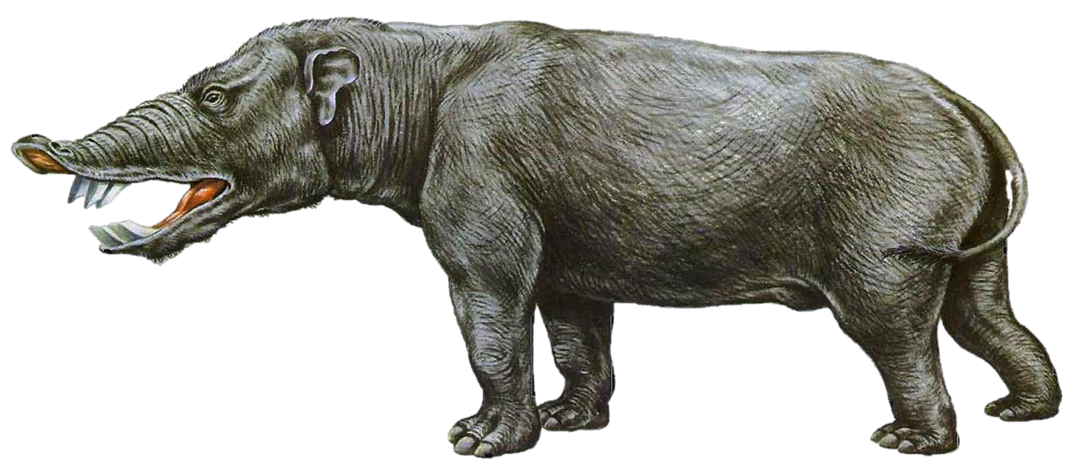 https://static.wikia.nocookie.net/spec-evo/images/8/86/Short-faced_elephant_%28Liera%29.png/revision/latest/scale-to-width-down/1078?cb=20230325154109