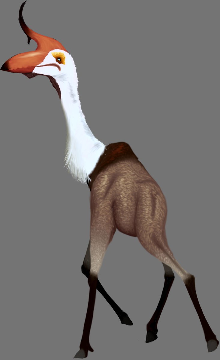 Pterosaur size - Wikipedia