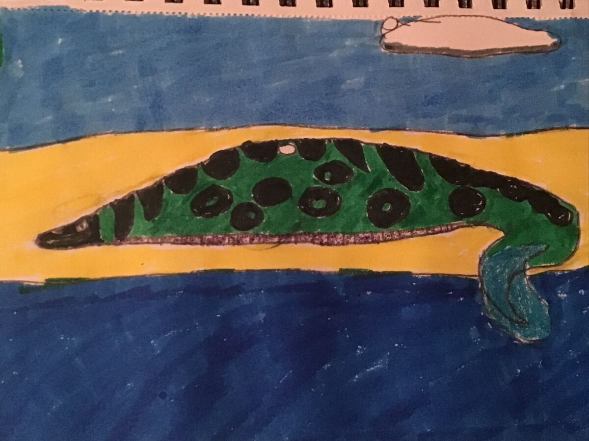 Electric Anaconda | Speculative Evolution Wiki | Fandom
