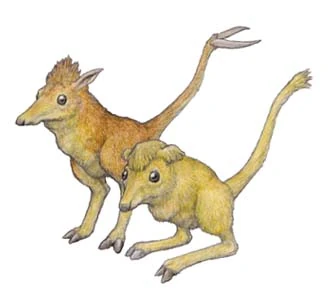 Pixie Speculative Evolution Wiki Fandom Pixie Speculative Evolution Wiki Fandom