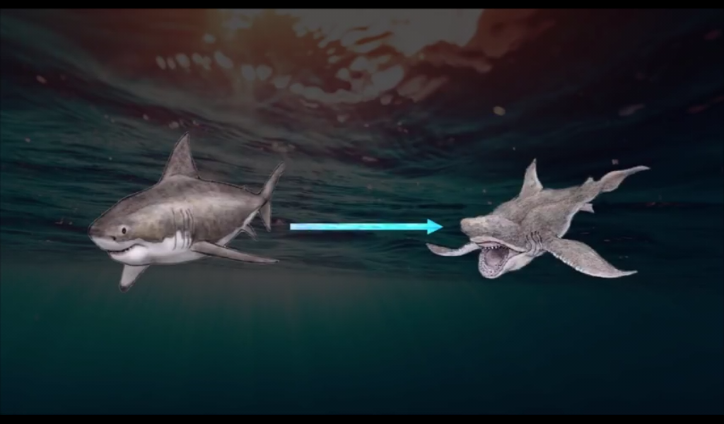 Yu-rays Shark | Speculative Evolution Wiki | Fandom
