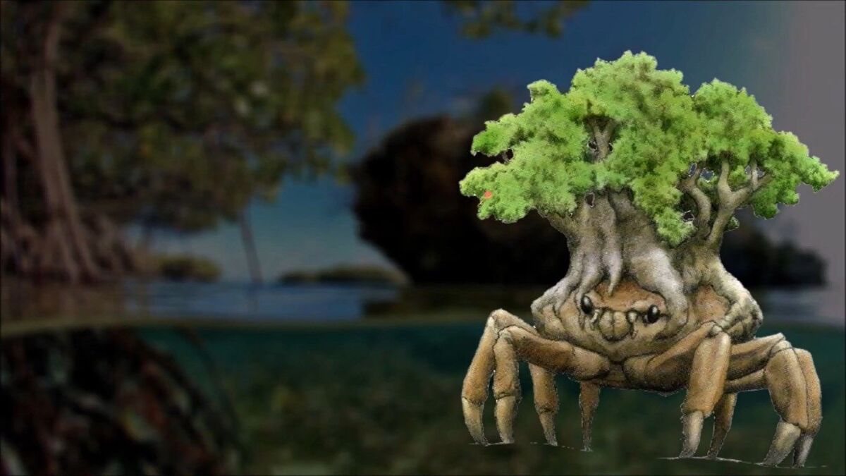 The Crabs ‎/ Sand And Sea ＋ ライブ・イン・ジャパン The Japanese Spider Crab can live up to 100 years. 🤧 - YouTube
