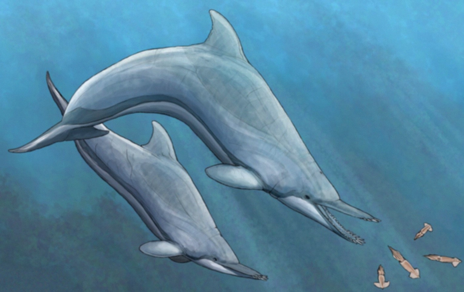 These Prehistoric Dolphins Had Tusk-Like Teeth