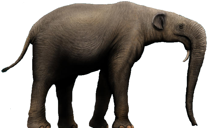 Deinotherium (white background)