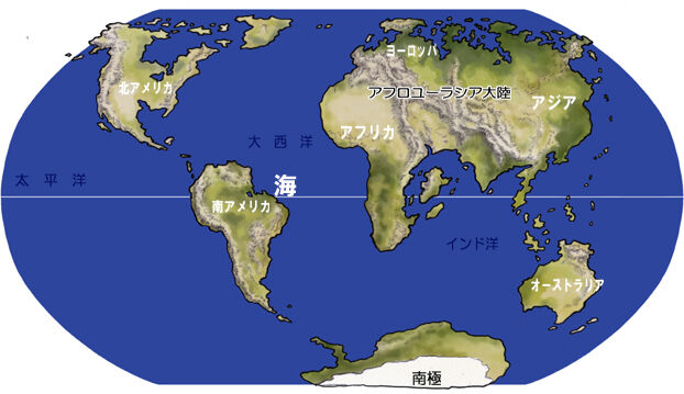 国産マニアック化石シリーズ！3000万年以上前、まだ類人猿も