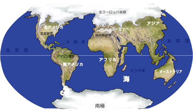 THE NATURAL WORLD REPTILES AND AMPHIBIANS OF THE WORLD - 洋書