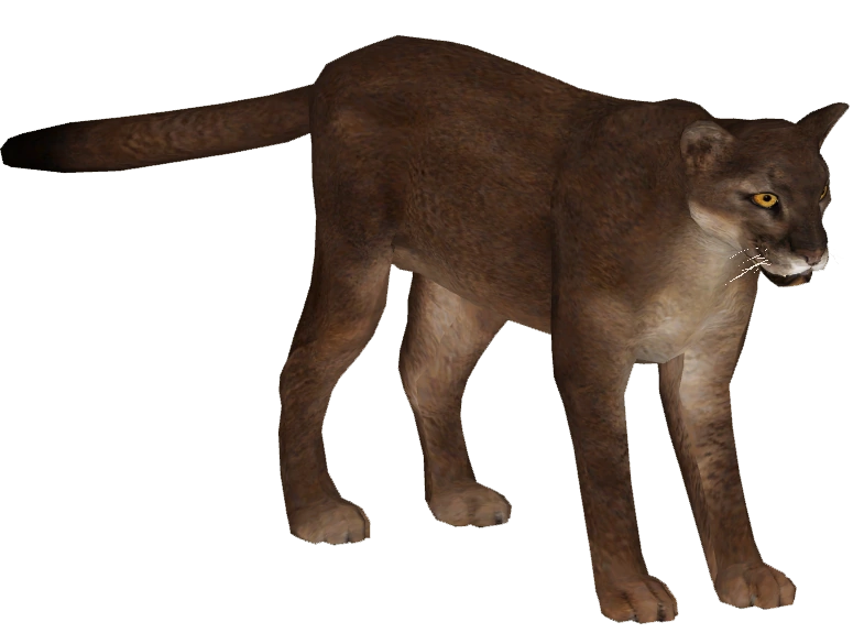 Puma cat wiki deals