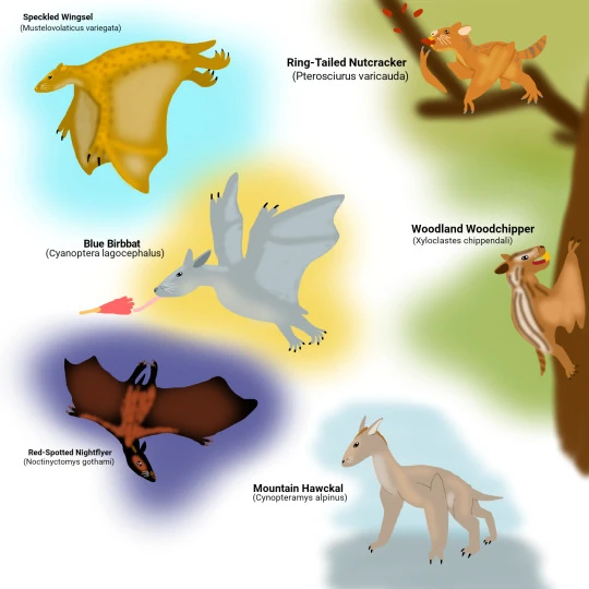 Bats All, Folks The Ratbats Speculative Evolution Wiki Fandom