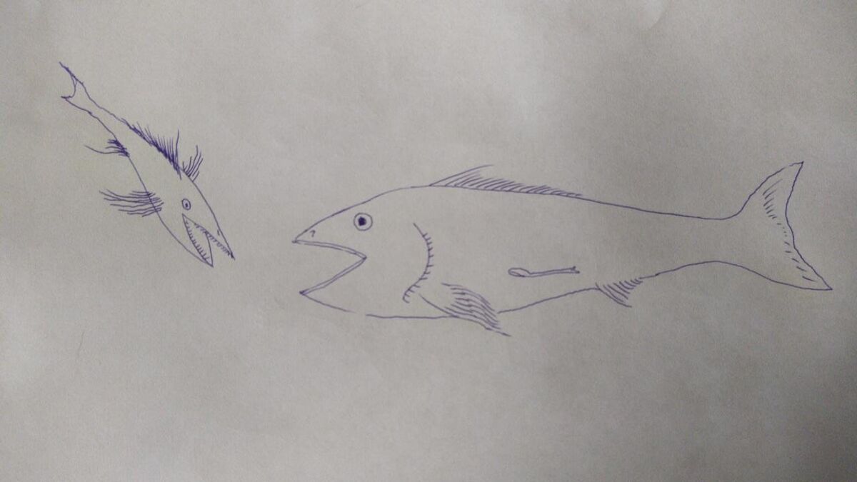 Whale minnow Speculative Evolution Wiki Fandom