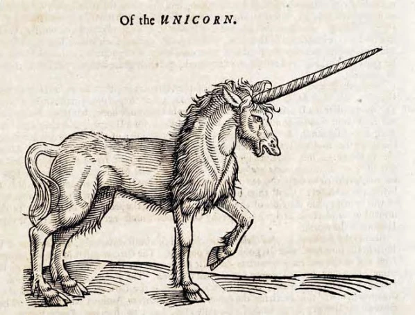 Unicorn | Species classifaction Wiki | Fandom