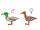 Mallard