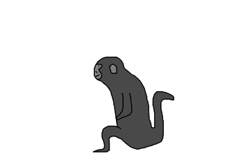 Black Spider Monkey | Species Wiki | Fandom