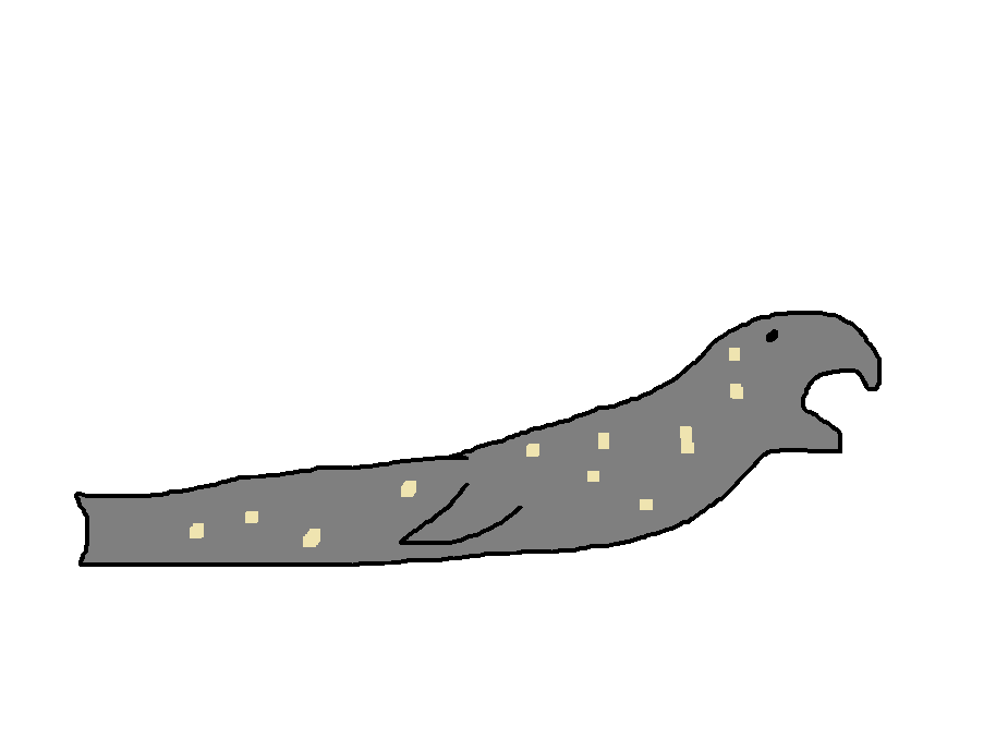 Southern Elephant Seal | Species Wiki | Fandom