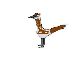 Greater Roadrunner