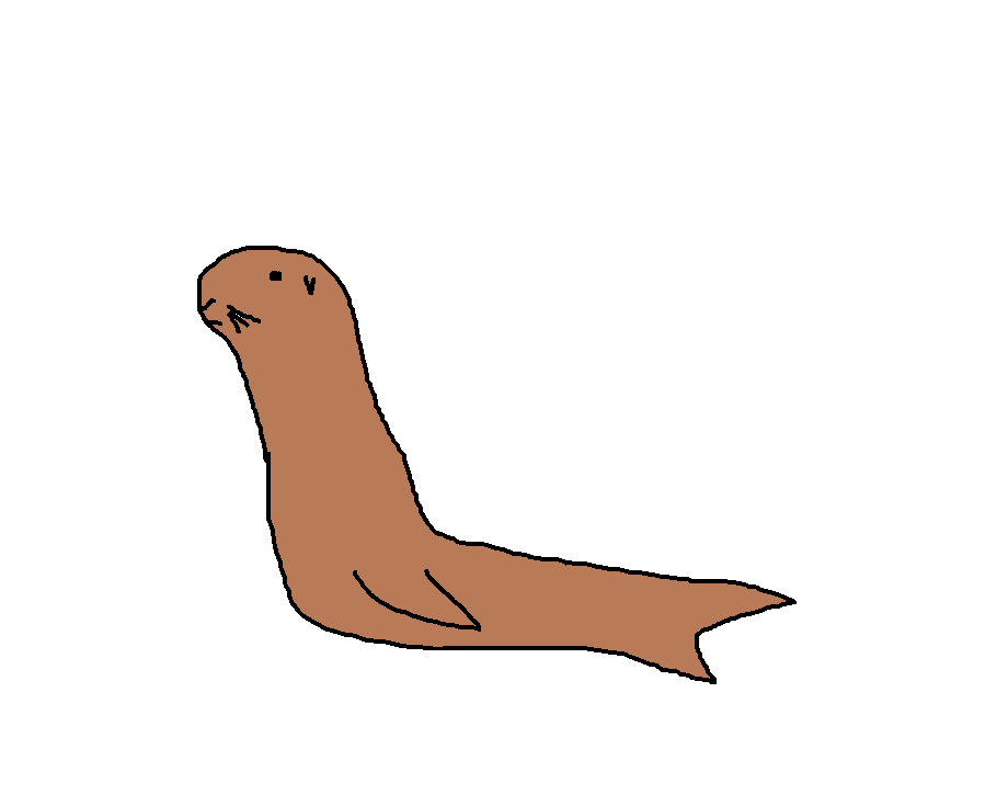California Sea Lion | Species Wiki | Fandom