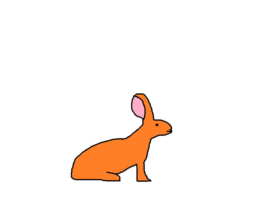 Swamp Rabbit | Species Wiki | Fandom