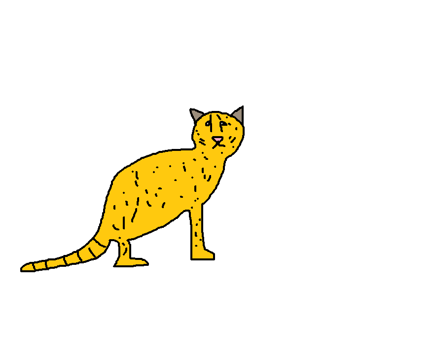 Kodkod Species Wiki Fandom