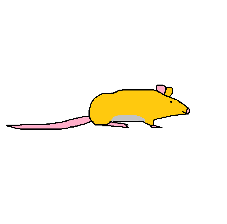 California Mouse Species Wiki Fandom