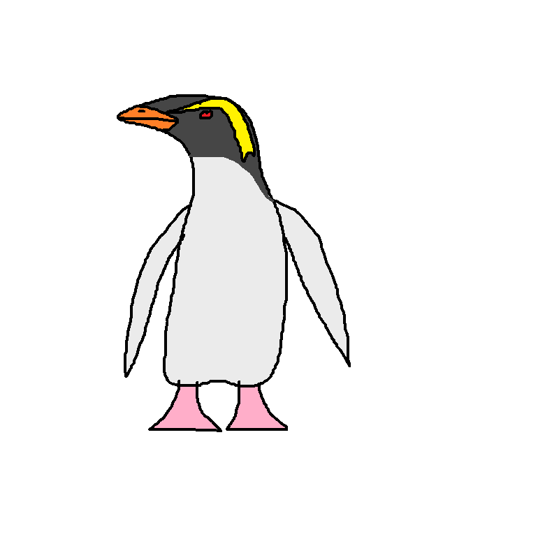 Northern Rockhopper Penguin | Species Wiki | Fandom