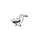 Wandering Albatross