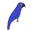 Hyacinth Macaw