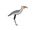 Secretarybird