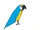 Blue-and-Gold Macaw