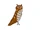 Great Horned Owl