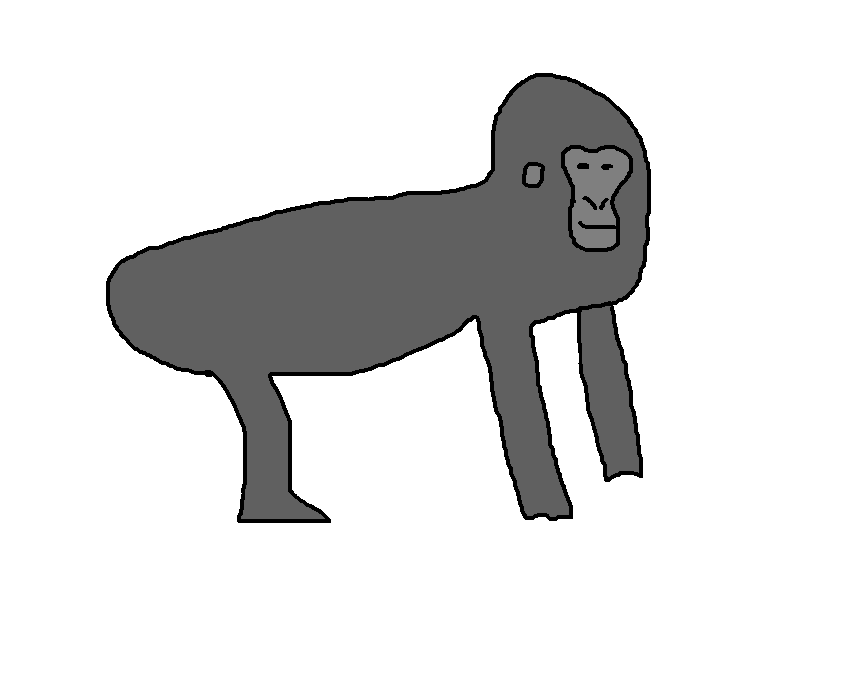 Western Gorilla | Species Wiki | Fandom