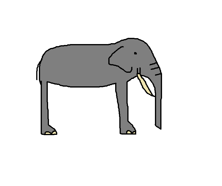 African Forest Elephant | Species Wiki | Fandom