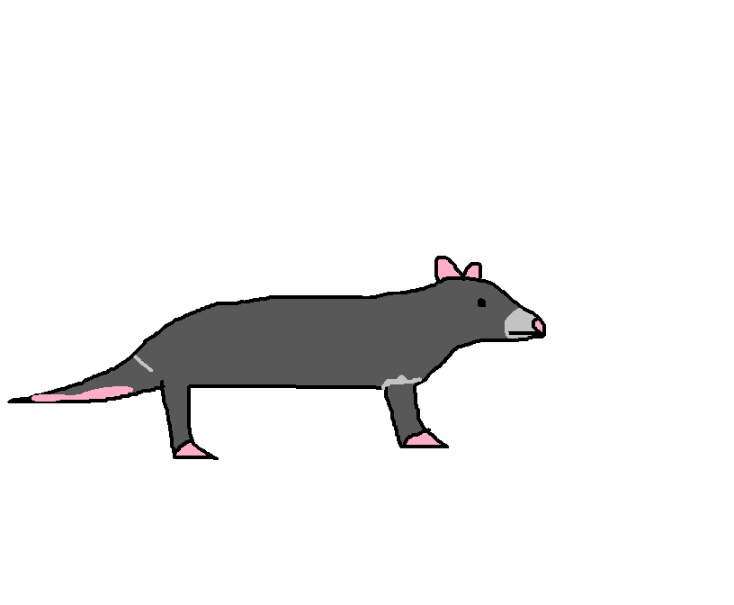 Tasmanian Devil | Species Wiki | Fandom