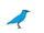 Mountain Bluebird
