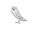 Snowy Owl