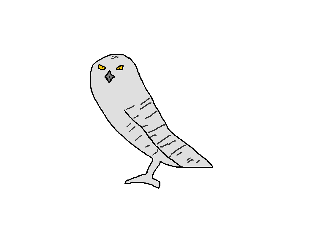 Snowy Owl | Species Wiki | Fandom