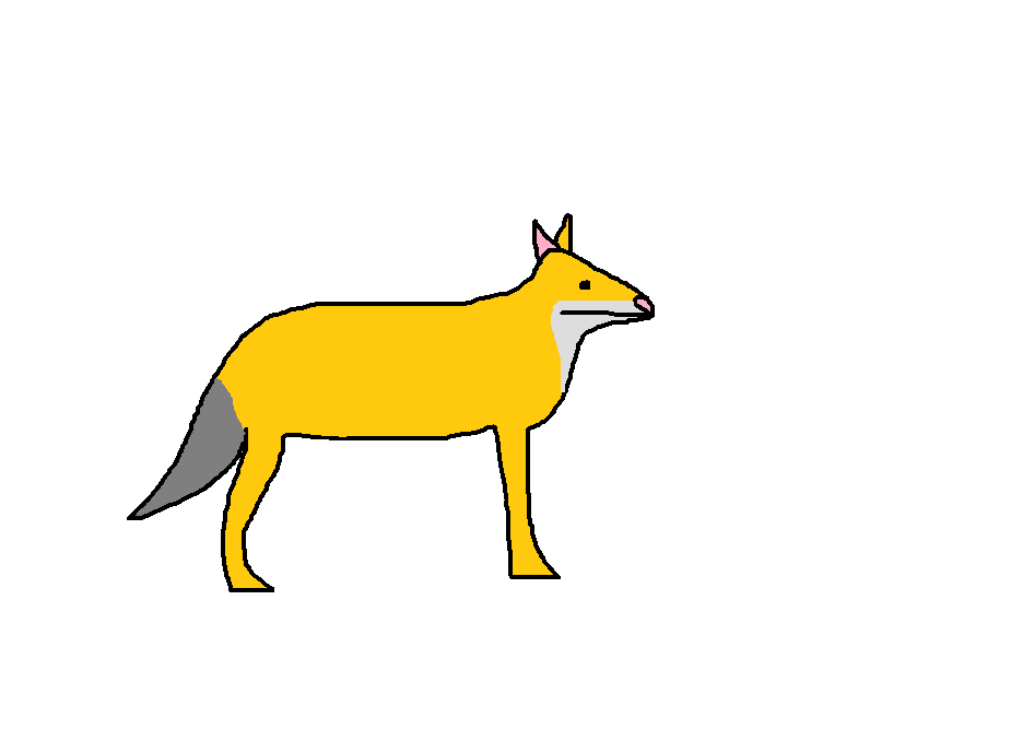 Kit Fox Species Wiki Fandom