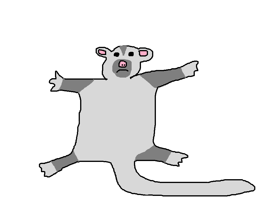 Greater Glider Species Wiki Fandom