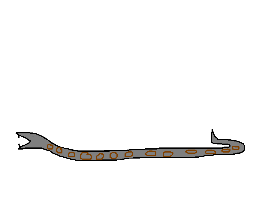 Western Diamondback Rattlesnake | Species Wiki | Fandom