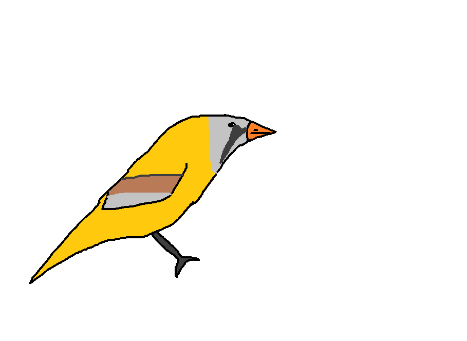 Bearded Reedling | Species Wiki | Fandom