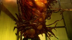 Miranda's cocoon in The Awakening