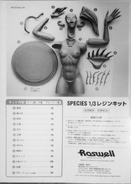 Sil Resin Kit Roswell Assemble