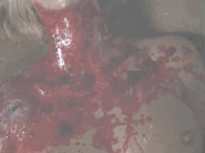 169196.gif (7.51 MB)