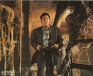 SpeciesII5 (1).jpg (20 KB)