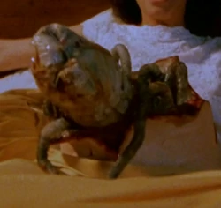 Anne Sampas Offspring