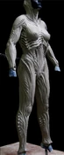 Species IV Sculpt.png (211 KB)