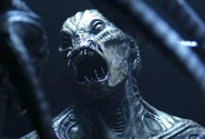 Yosef in alien form