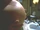 Accelerated Gestation