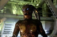 Species lll.jpg (193 KB)