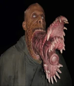 Rinaldo Puppet.png (353 KB)